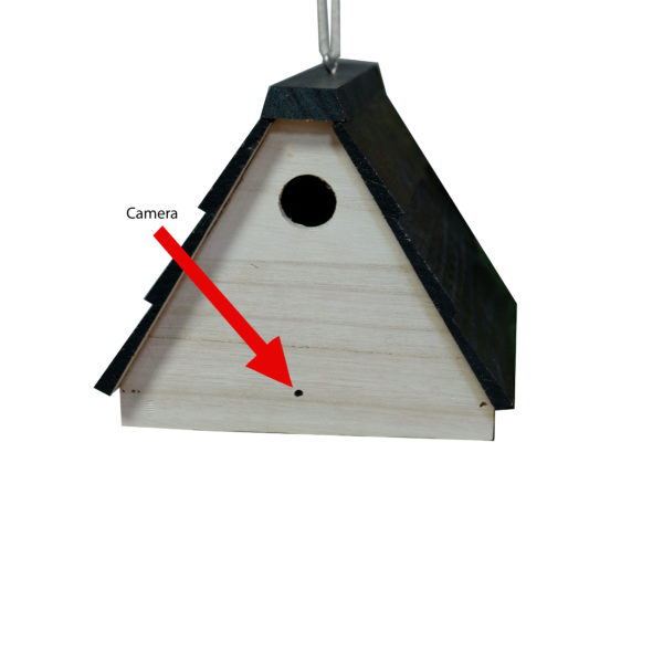 BBSBIRDHOUSE – FREE 16GB MICROSD INCLUDED - Image 3