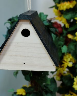 BBSBIRDHOUSE – FREE 16GB MICROSD INCLUDED