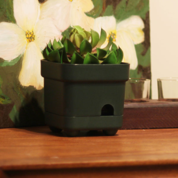 PREMIUM OMNIEYE PLANT WITH OPTIONAL AC POWER
