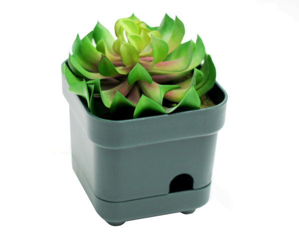 PREMIUM OMNIEYE PLANT WITH OPTIONAL AC POWER - Image 2