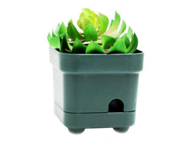 PREMIUM OMNIEYE PLANT WITH OPTIONAL AC POWER - Image 3