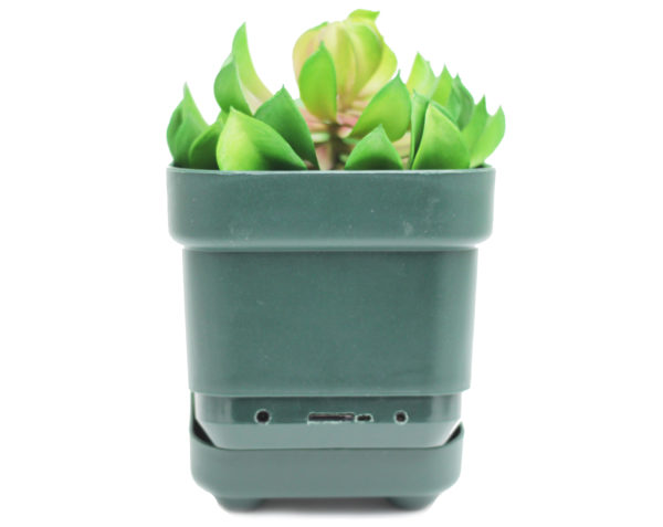PREMIUM OMNIEYE PLANT WITH OPTIONAL AC POWER - Image 4