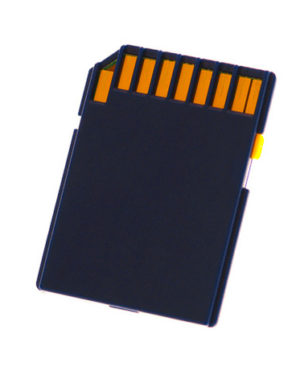 Standard SD Card